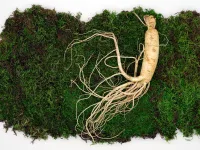 Doet rode ginseng echt iets voor je libido?